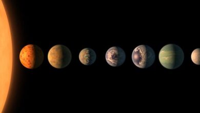 NASA’nın ‘Bulduğumuz 7 Gezegene Hangi İsimleri Koyalım?’ Sorusuna Verilen 7 Eğlenceli Cevap