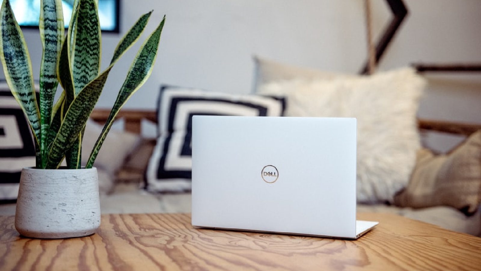 В августе Dell представит первый ноутбук, сертифицированный для Ubuntu 22.04 LTS — XPS 13 Plus