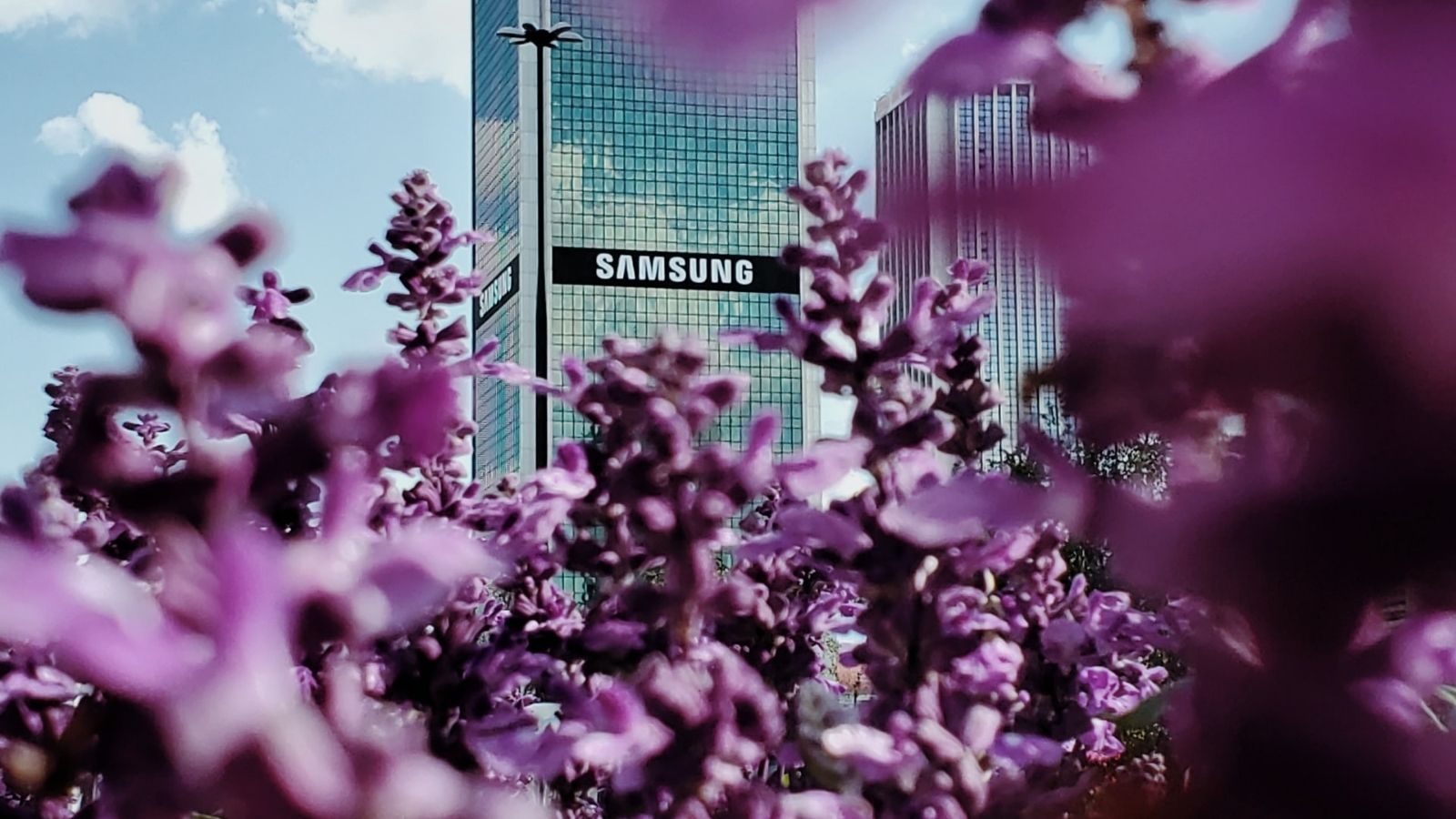 Samsung выходит на рынок Galaxy Fold, Note Обновление Stable One UI 4 серии 10