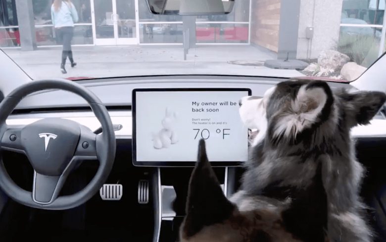 Tesla выпустила собачий режим для предотвращения опасности в оставленном без присмотра горячем автомобиле