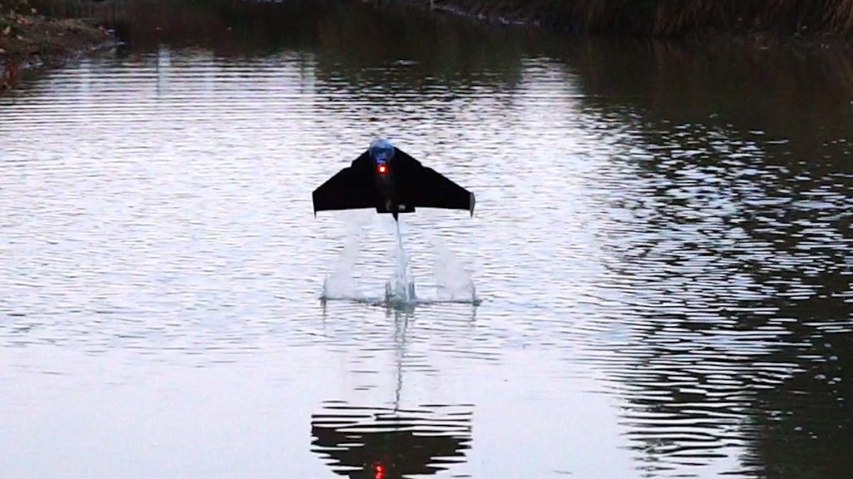 Биологический робот «Летающая рыба» прыгает в воду и скользит по воздуху