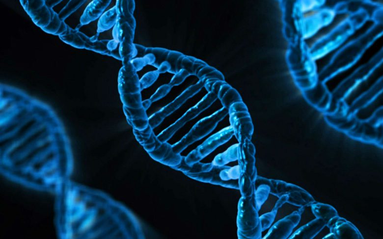 MinIT: устройство быстрого анализа для секвенирования ДНК нанопор